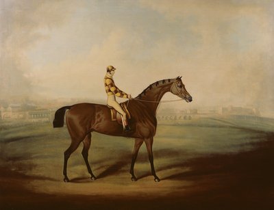 Portret van Bruitandorf met Jockey en Chester Renbaan op de Achtergrond door Daniel Clowes